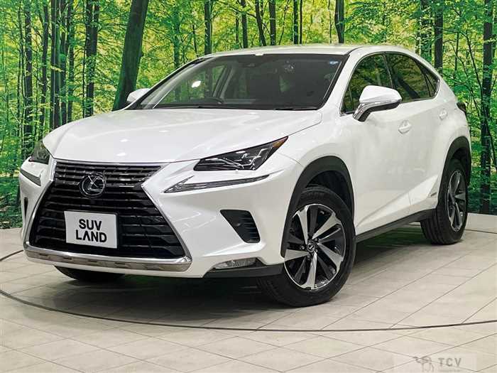 2018 Lexus NX