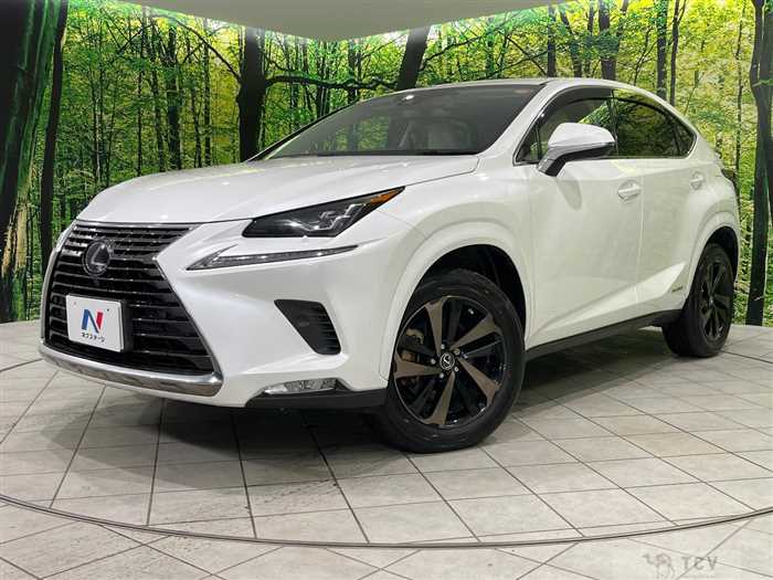 2019 Lexus NX