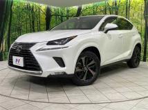2019 Lexus NX