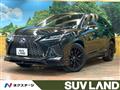 2021 Lexus RX