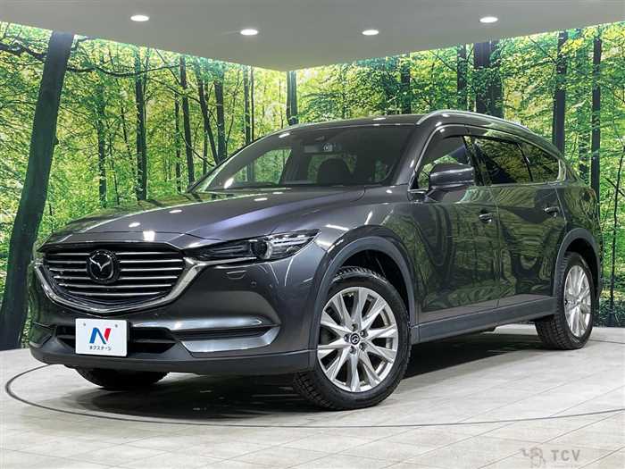 2018 Mazda CX-8