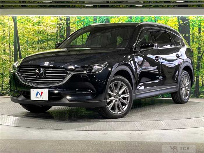 2019 Mazda CX-8