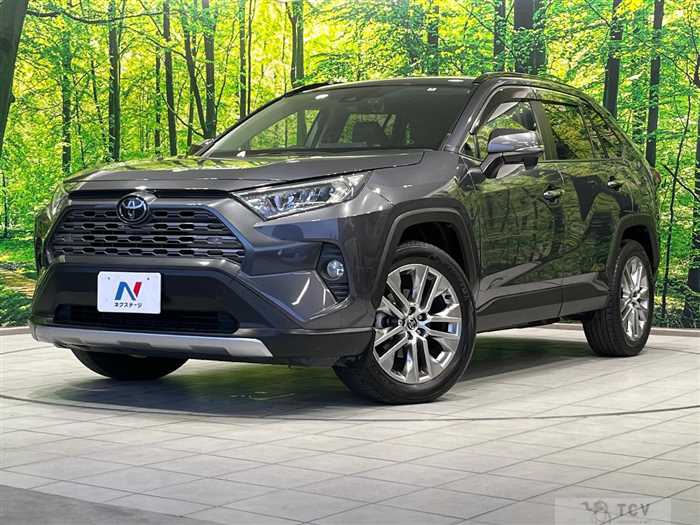 2020 Toyota RAV4