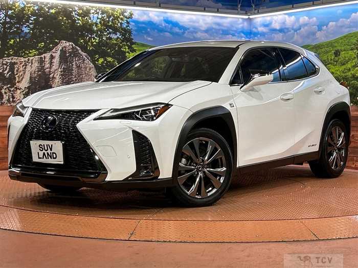 2019 Lexus Other