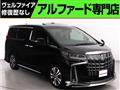 2019 Toyota Alphard G