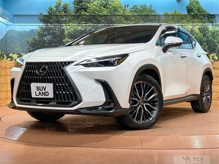 2025 Lexus NX