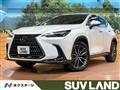 2025 Lexus NX