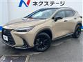 2025 Lexus NX