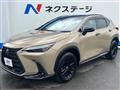 2025 Lexus NX