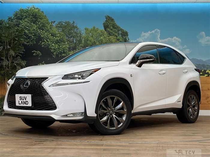 2015 Lexus NX