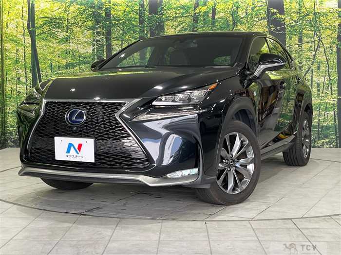 2016 Lexus NX