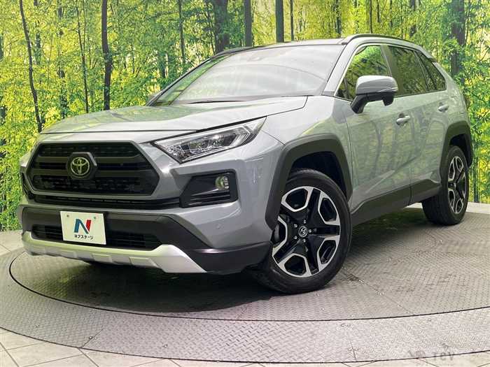 2019 Toyota RAV4