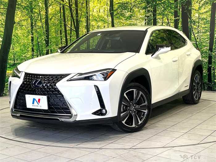2021 Lexus Other