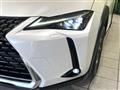 2021 Lexus Other