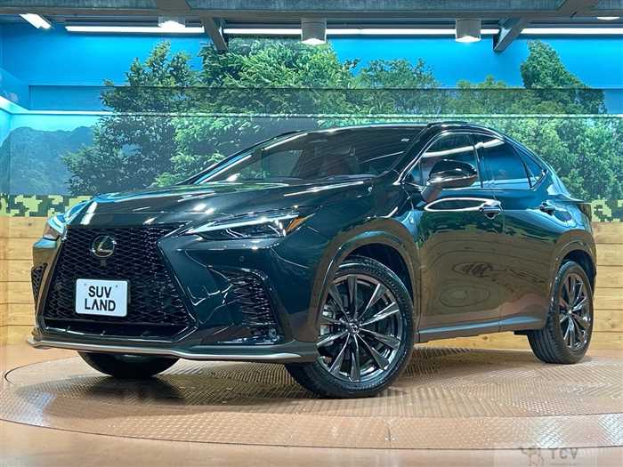 2022 Lexus NX