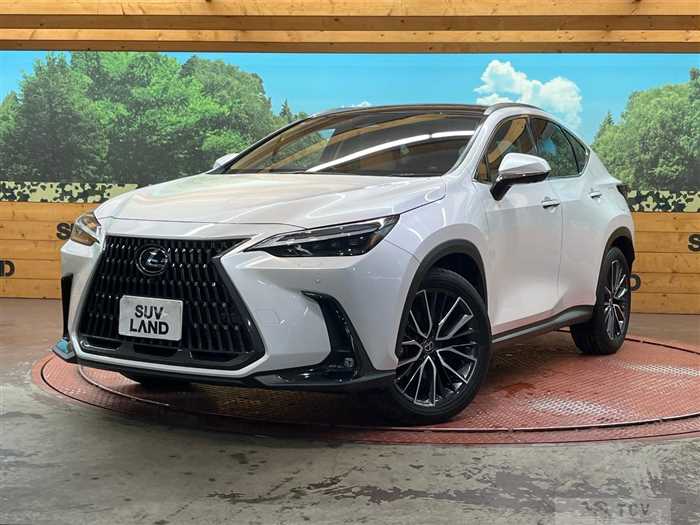 2023 Lexus NX