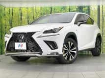 2020 Lexus NX