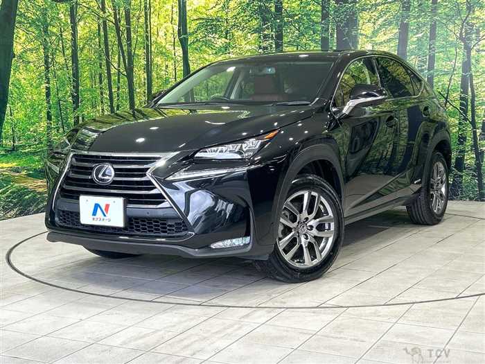 2017 Lexus NX