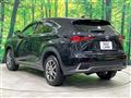 2019 Lexus NX