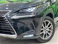 2019 Lexus NX