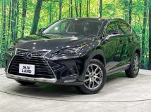 2019 Lexus NX