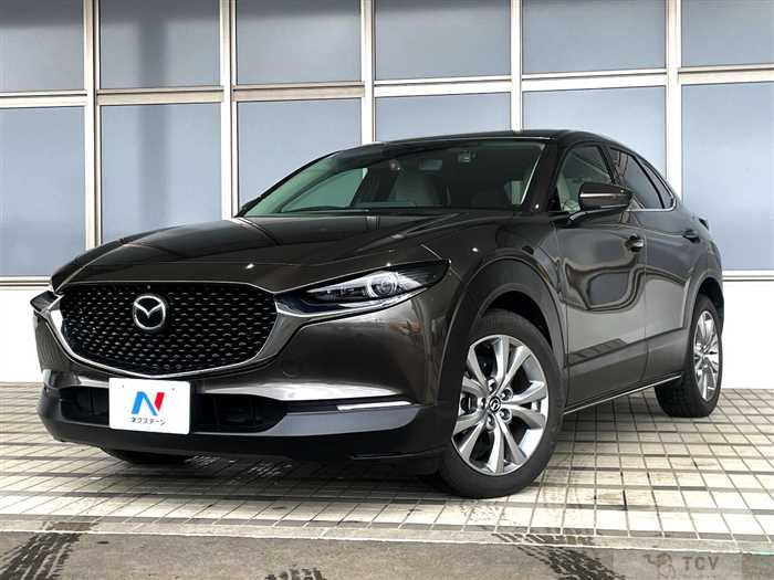 2019 Mazda Mazda Others