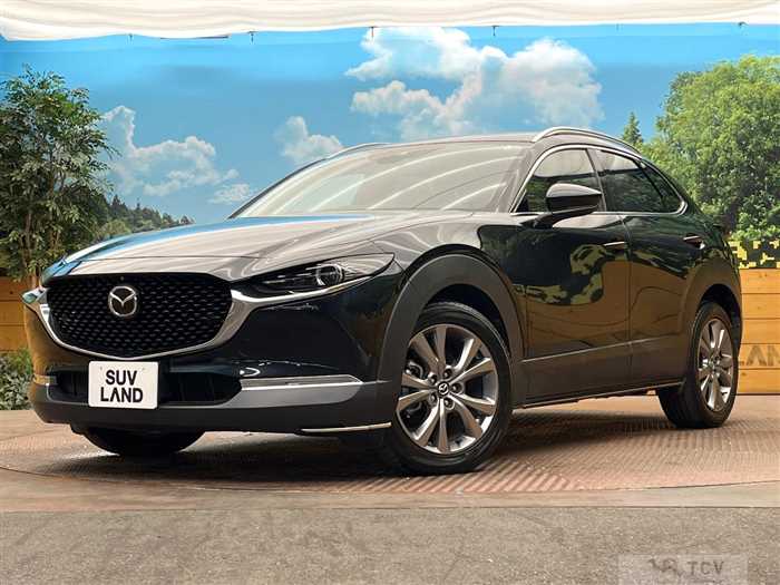 2019 Mazda Mazda Others