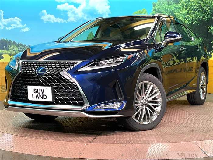 2019 Lexus RX