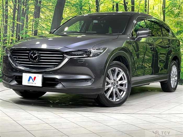 2019 Mazda CX-8
