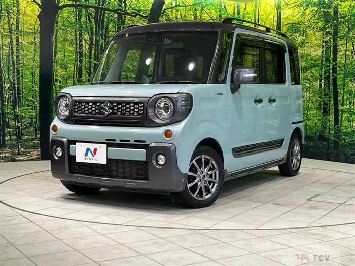 2019 Suzuki Suzuki Others