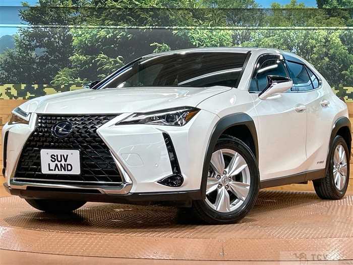 2019 Lexus Other