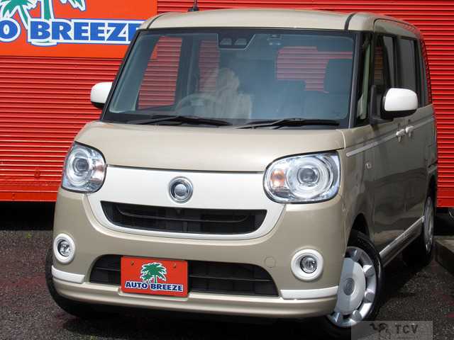 2019 Other All Other All