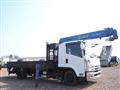 2009 Isuzu Isuzu Others