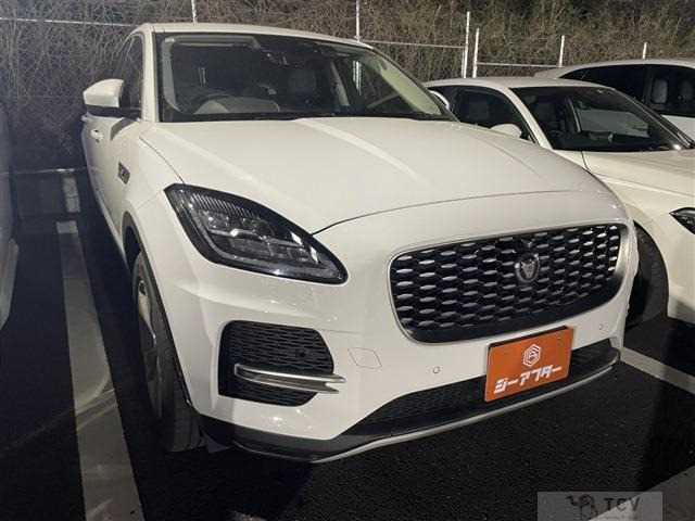 2021 Other All Other All