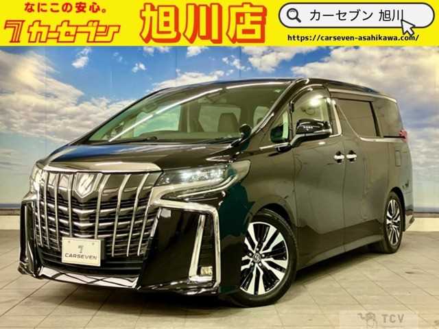 2019 Toyota Alphard G