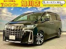 2019 Toyota Alphard G