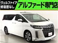 2019 Toyota Alphard G