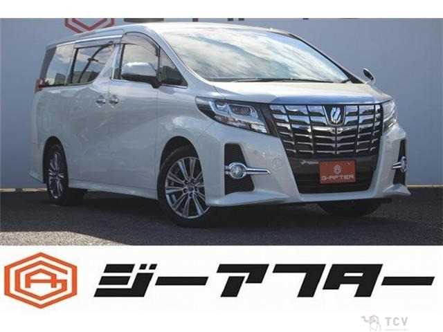 2015 Toyota Alphard G