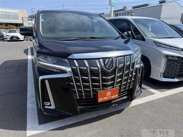 2019 Toyota Alphard G