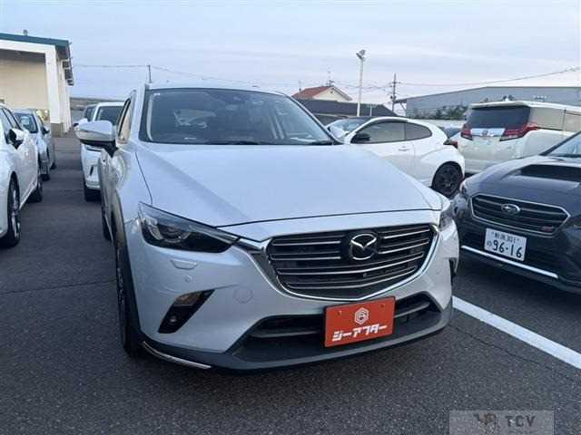 2019 Other All Other All