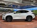 2024 Lexus NX