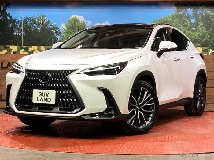 2022 Lexus NX