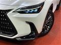 2022 Lexus NX