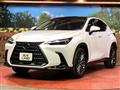 2022 Lexus NX