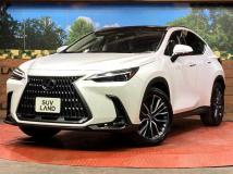 2022 Lexus NX