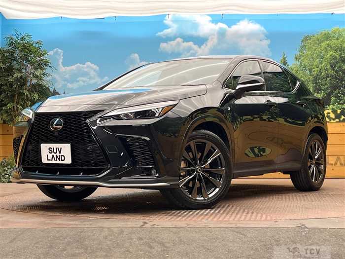 2022 Lexus NX