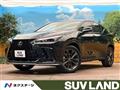 2022 Lexus NX