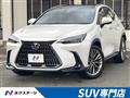 2023 Lexus NX