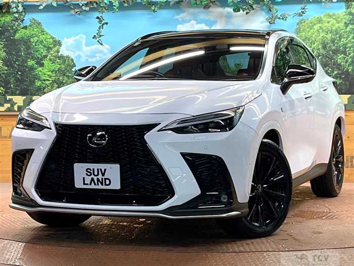 2023 Lexus NX