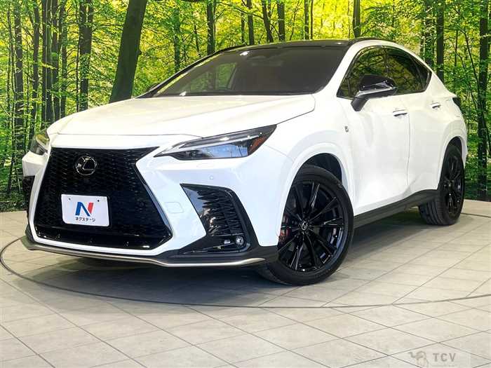 2023 Lexus NX